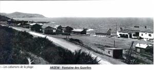 ARZEW 279